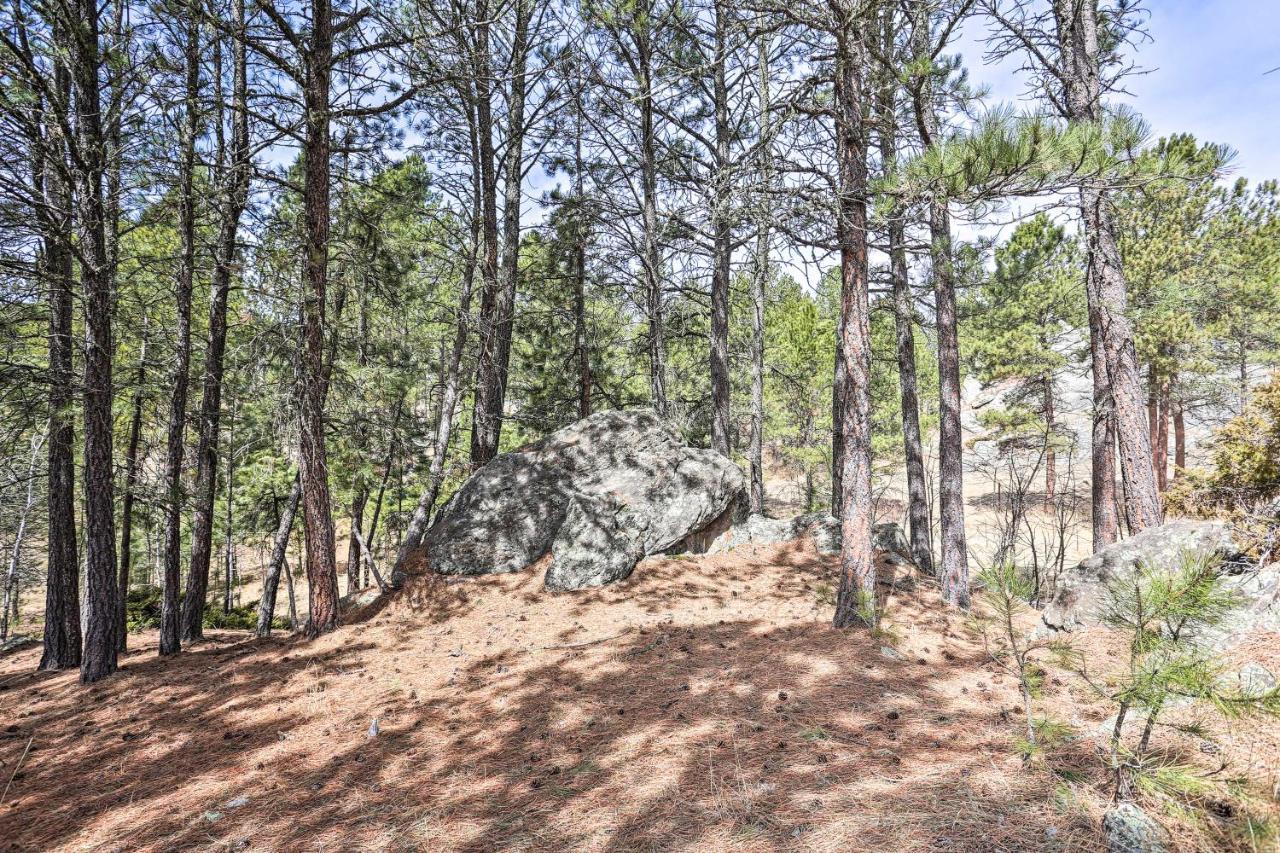 Private Black Hills Home With Corral Horses Welcome Custer Exteriér fotografie