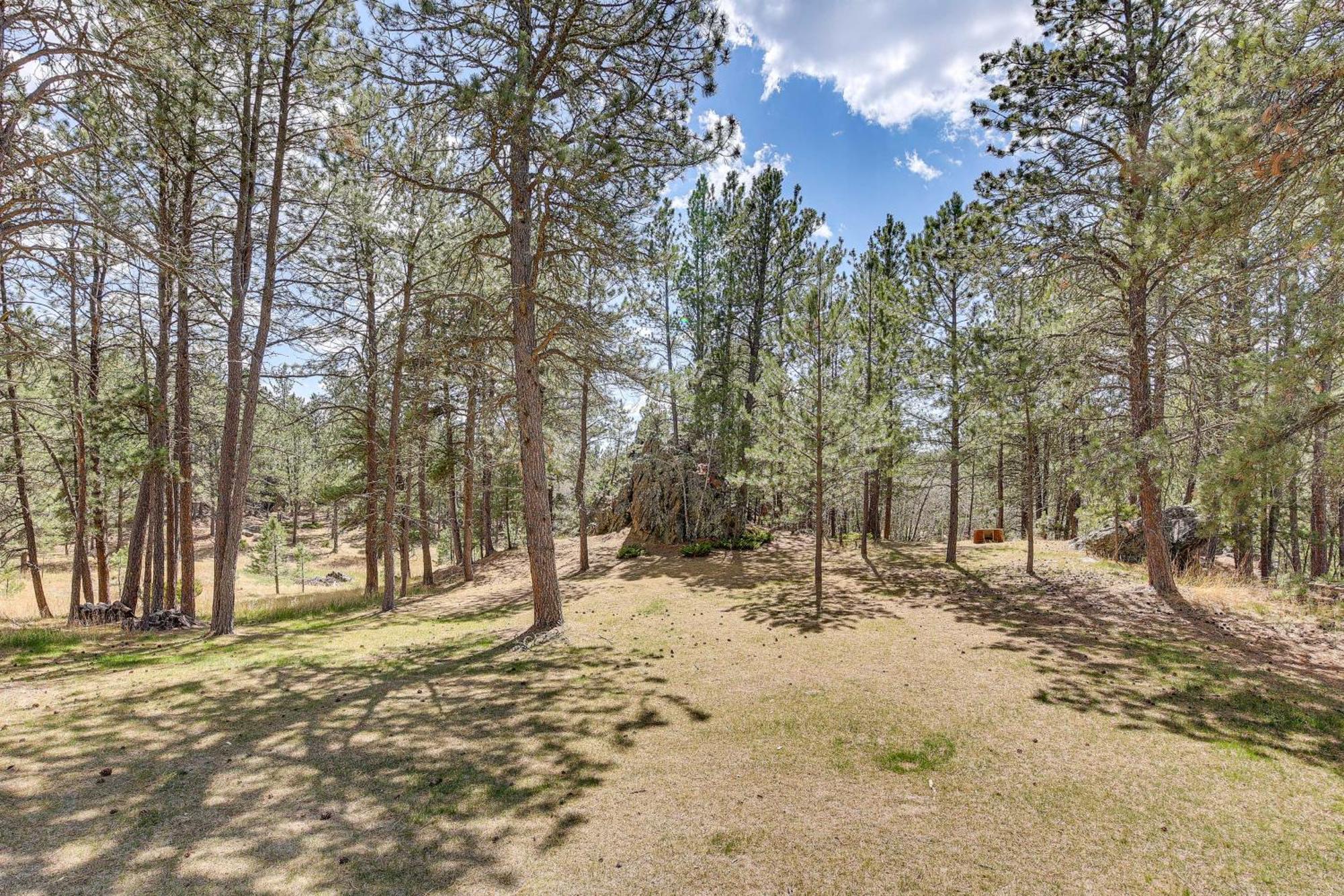 Private Black Hills Home With Corral Horses Welcome Custer Exteriér fotografie